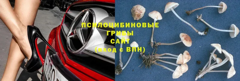 Псилоцибиновые грибы Magic Shrooms Николаевск